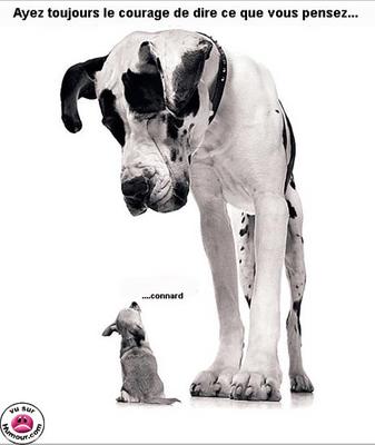 Ayez tuoujours le courage ....